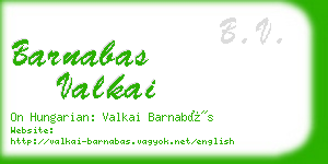 barnabas valkai business card